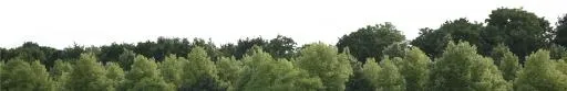森林 PNG免抠(4273x701)