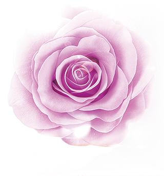 鲜花玫瑰免扣素材