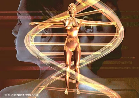 生化科技-女性DNA构造