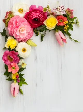 鲜花边框图片素材