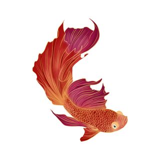 手绘烫金国潮中国风卡通锦鲤鱼金鱼插画装饰元素PSD设计素材