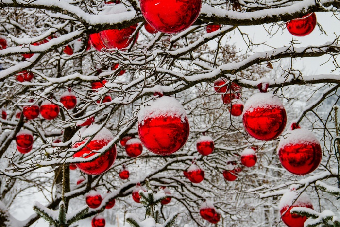 美丽的冬天雪景摄影图片