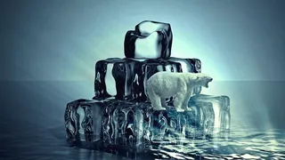 冬天北极熊背景风景