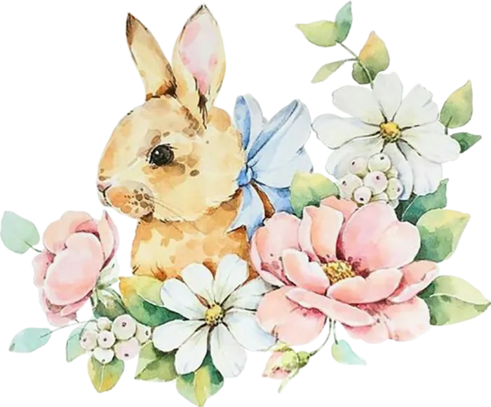 花朵兔子兔年