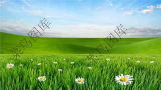 草原高清图