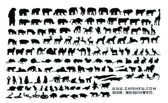 分析图素材图标集合景观建筑立面插画场景AI矢量图形设计ai矢量模版下载