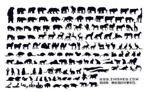 分析图素材图标集合景观建筑立面插画场景AI矢量图形设计