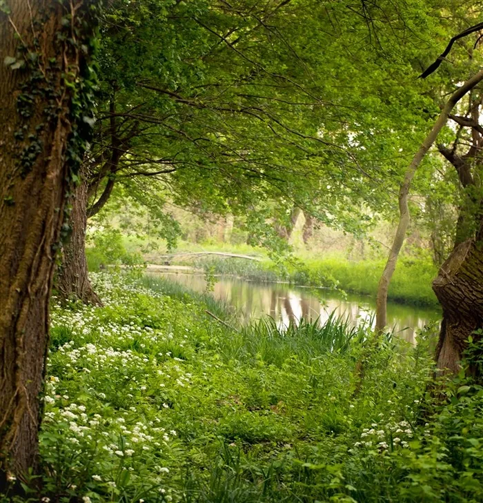 清山秀水自然风景