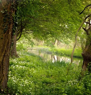 清山秀水自然风景
