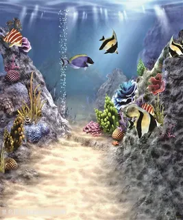 海底世界高清背景图片