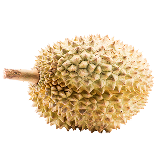 64榴莲 (5)水果超市商品白底图免抠实物摄影png格式图片透明底