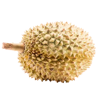 64榴莲 (5)水果超市商品白底图免抠实物摄影png格式图片透明底