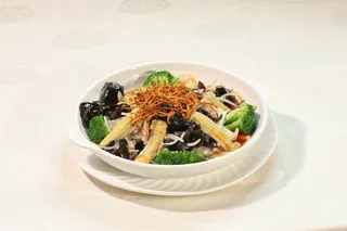 46菩提虫草花口素  珠江生活