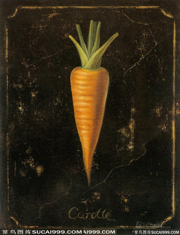 胡萝卜高清静物插画