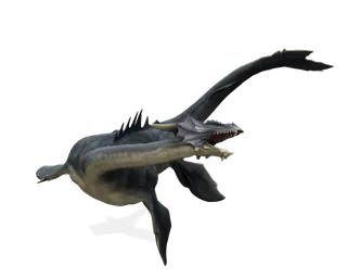 龙 飞龙火龙飞天龙喷火龙