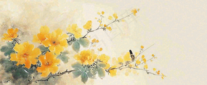温馨纹理橙色花朵鲜花蝴蝶意境唯美，中国风(1712x704)