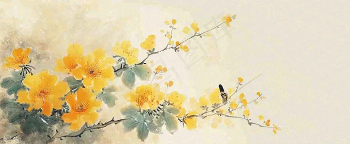 温馨纹理橙色花朵鲜花蝴蝶意境唯美，中国风(1712x704)