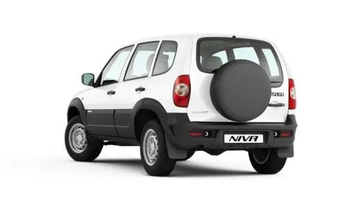 尼瓦 PNG免抠(778x455)