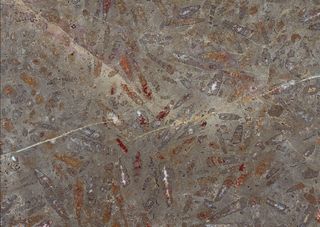 大理石花卉装饰背景墙