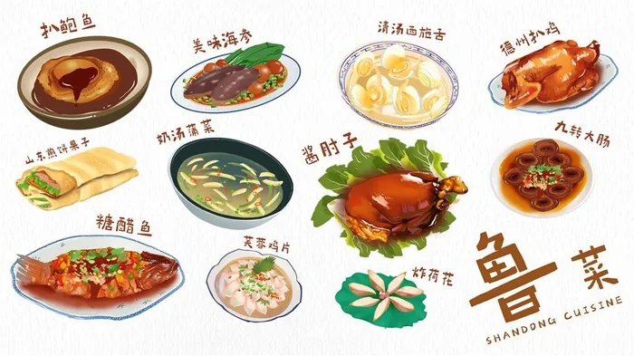 美食插画鲁菜卤水蒸鱼清汤烤鱼饺子psd模版下载