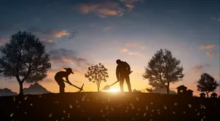 植树节剪影插画