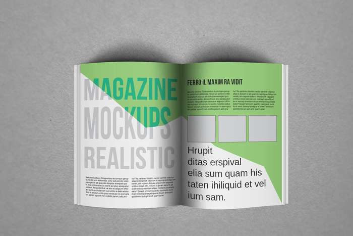 产品画册提案效果样机模板