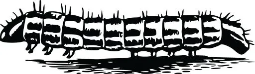 卡特彼勒 PNG免抠(4000x1176)