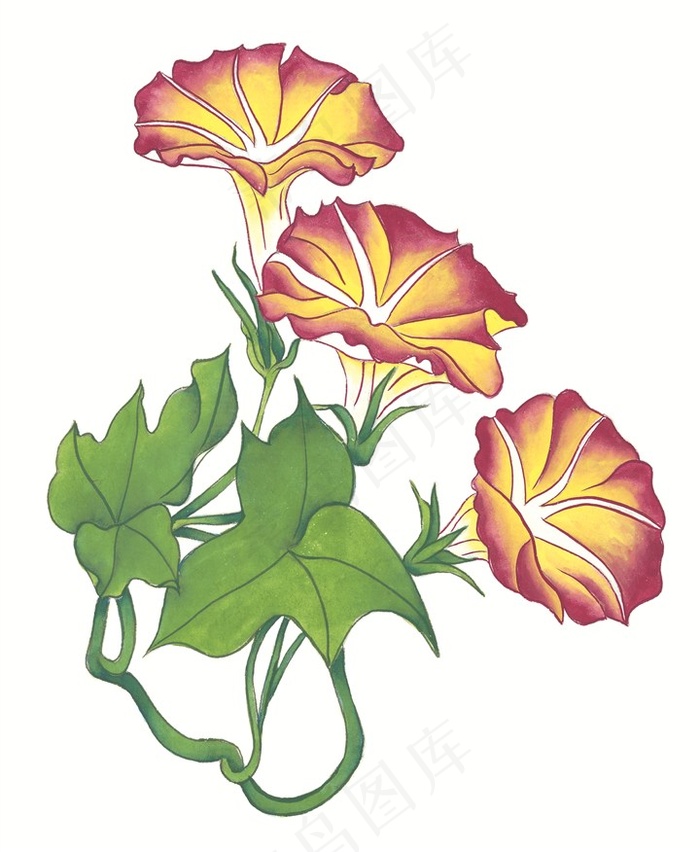 瓜果蔬菜鱼虾蟹欣赏jpg素材