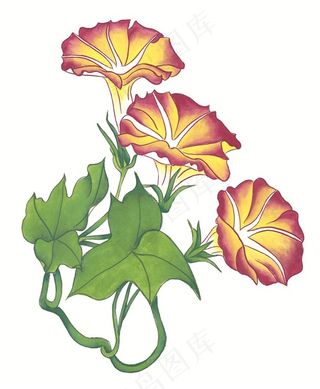 瓜果蔬菜鱼虾蟹欣赏jpg素材