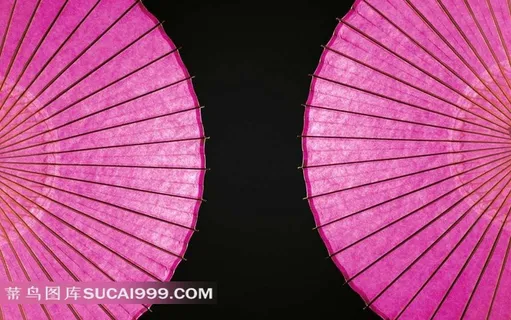 两把紫红色的雨伞