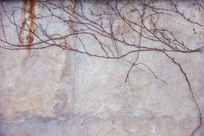 合成所需墙面素材