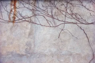 合成所需墙面素材