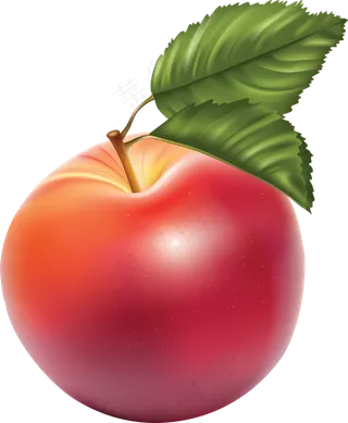 多汁的 苹果 清新 红苹果 水果 免抠
