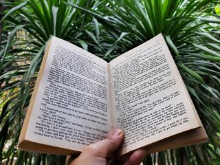 阅读英文书籍图片