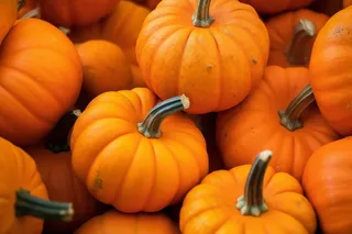 南瓜橘黄色摄影图