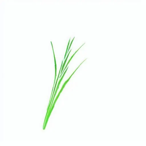 一支草png免抠(2048x2048)