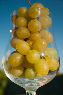 黄色葡萄图片