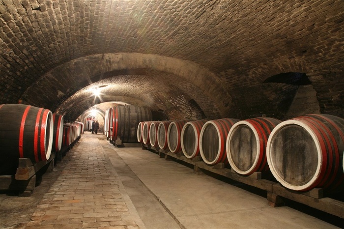 地下酿酒酒窖