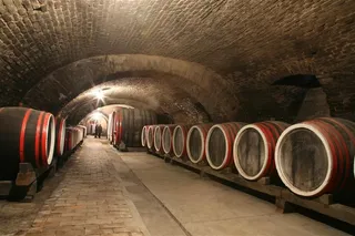 地下酿酒酒窖