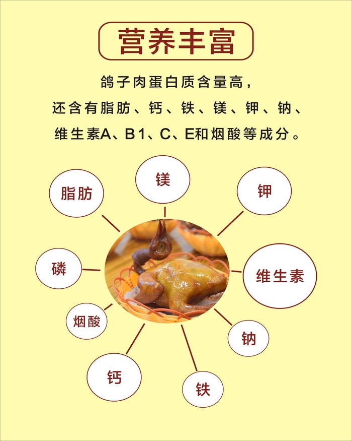 鸽子大全展板4cdr矢量模版下载