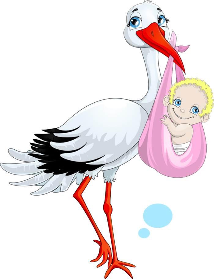 白鹭与婴儿