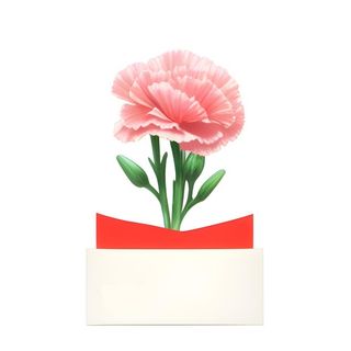 母亲节康乃馨花信封免抠