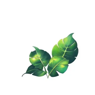 叶子树叶绿叶草丛免抠