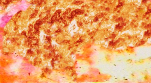 爆炸火种熊熊 爆炸火种熊熊