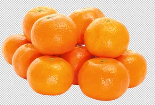 桔子免扣素材