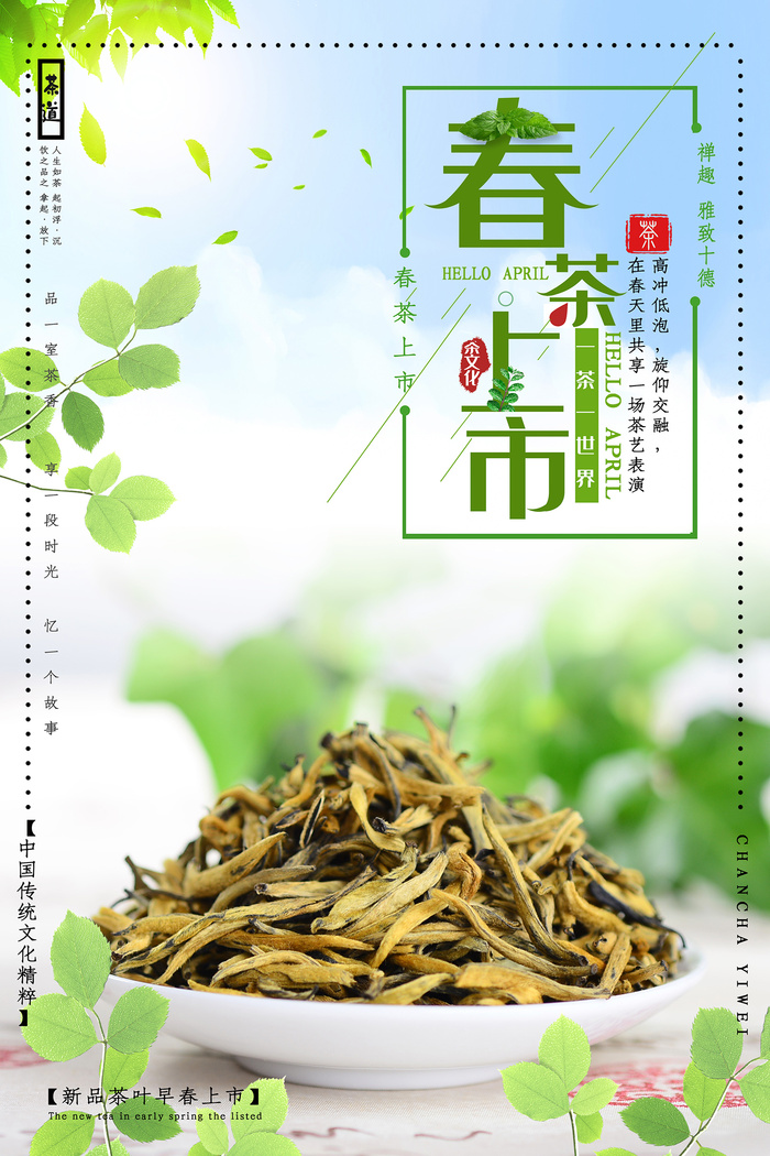 小清新绿色春茶上市茶文化海报