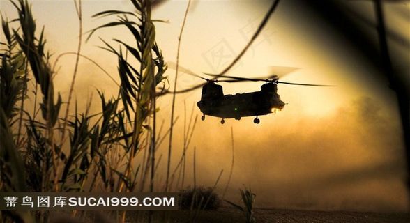 CH47支奴干中型运输直升机图