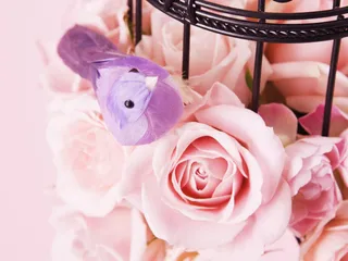 图片设计素材背景鸟语花香