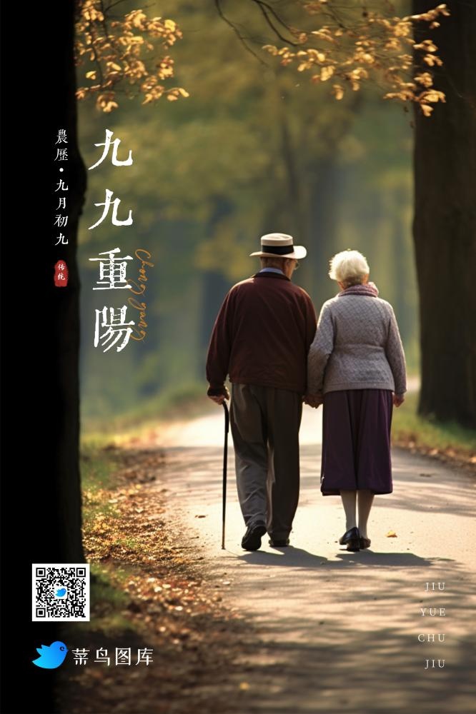 重阳节落日老人牵手行走晚霞海报