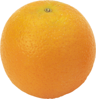 55_orange_PNG785